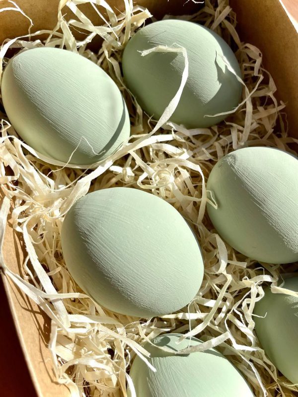 Пасхальні яйця Sage Green матові