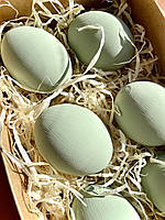 Пасхальні яйця Sage Green матові